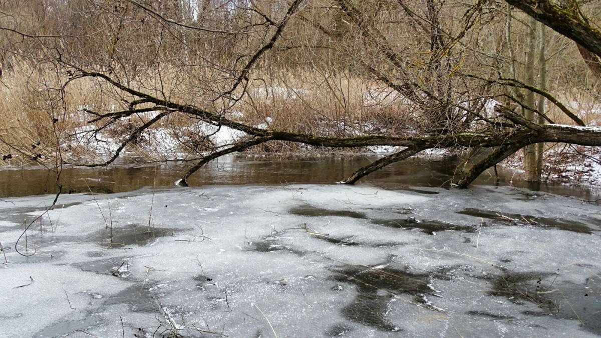 ������ �����. ����� �������� �������� �� PhotoGeek.ru #������ ��� �������