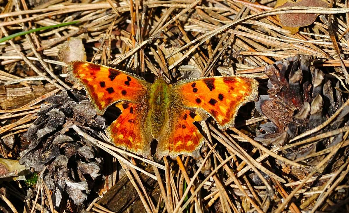 � �������� �����. ����� �������� �������� �� PhotoGeek.ru #�������� ��� #������ ��� �������