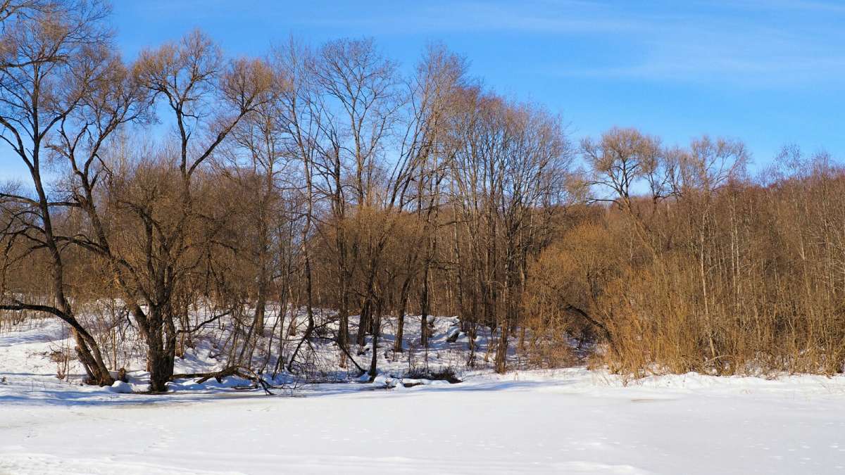 ����� �� ����������. ����� �������� �������� �� PhotoGeek.ru #������ ��� �������