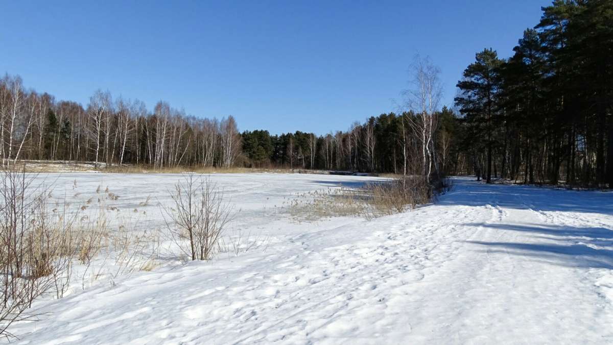 ����� �� ����������. ����� �������� �������� �� PhotoGeek.ru #������ ��� �������