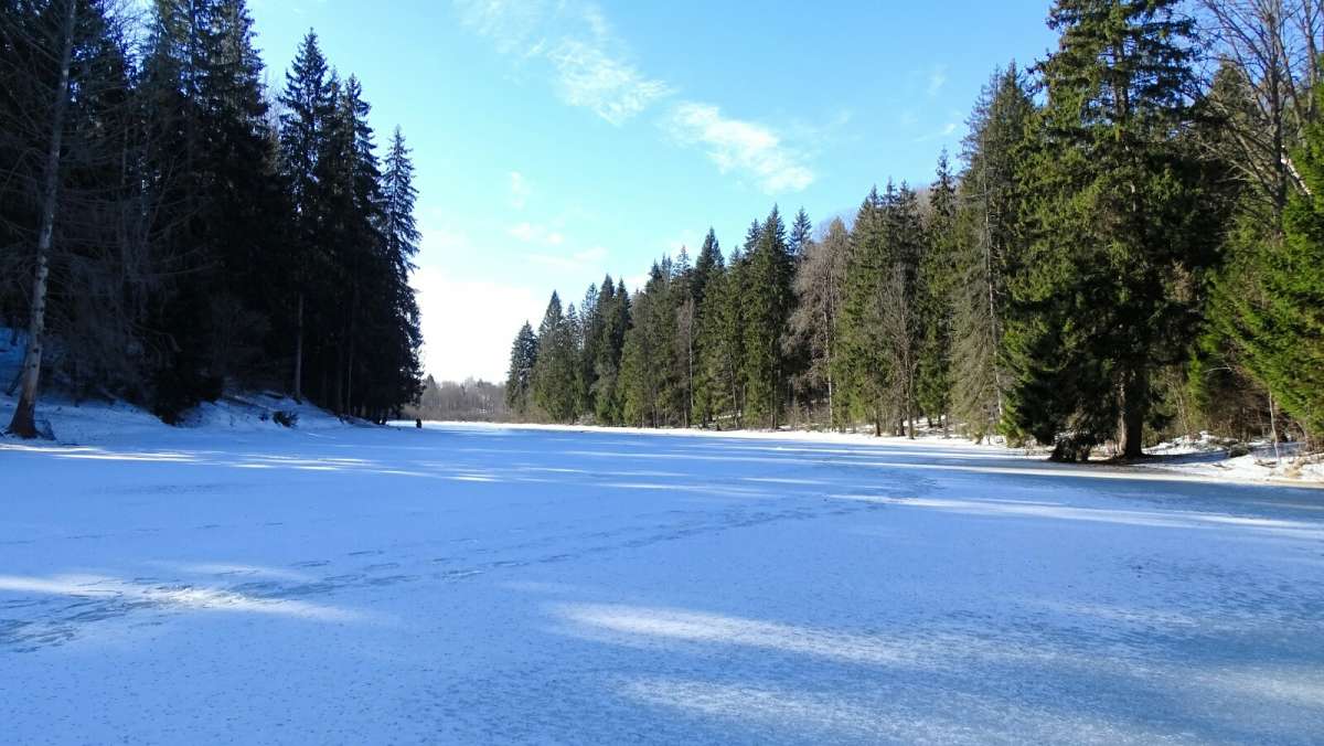 ���� ���������� ����� �������� �������� �� PhotoGeek.ru #������ ��� �������