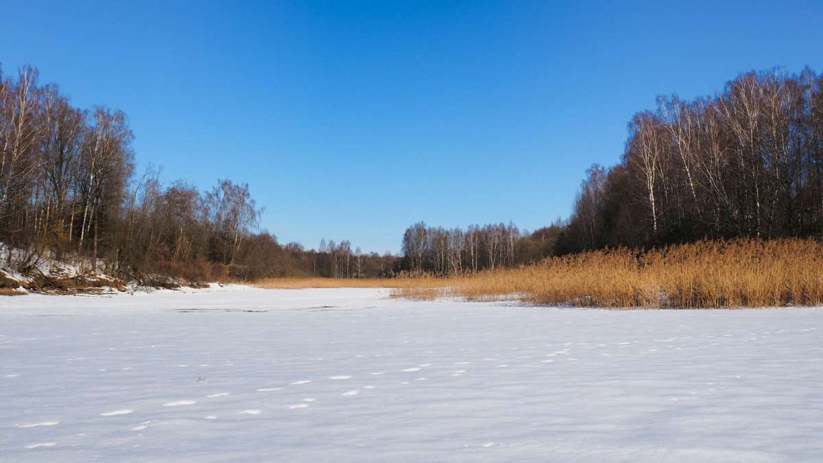 ��� ����. ����� �������� �������� �� PhotoGeek.ru #������ ��� �������