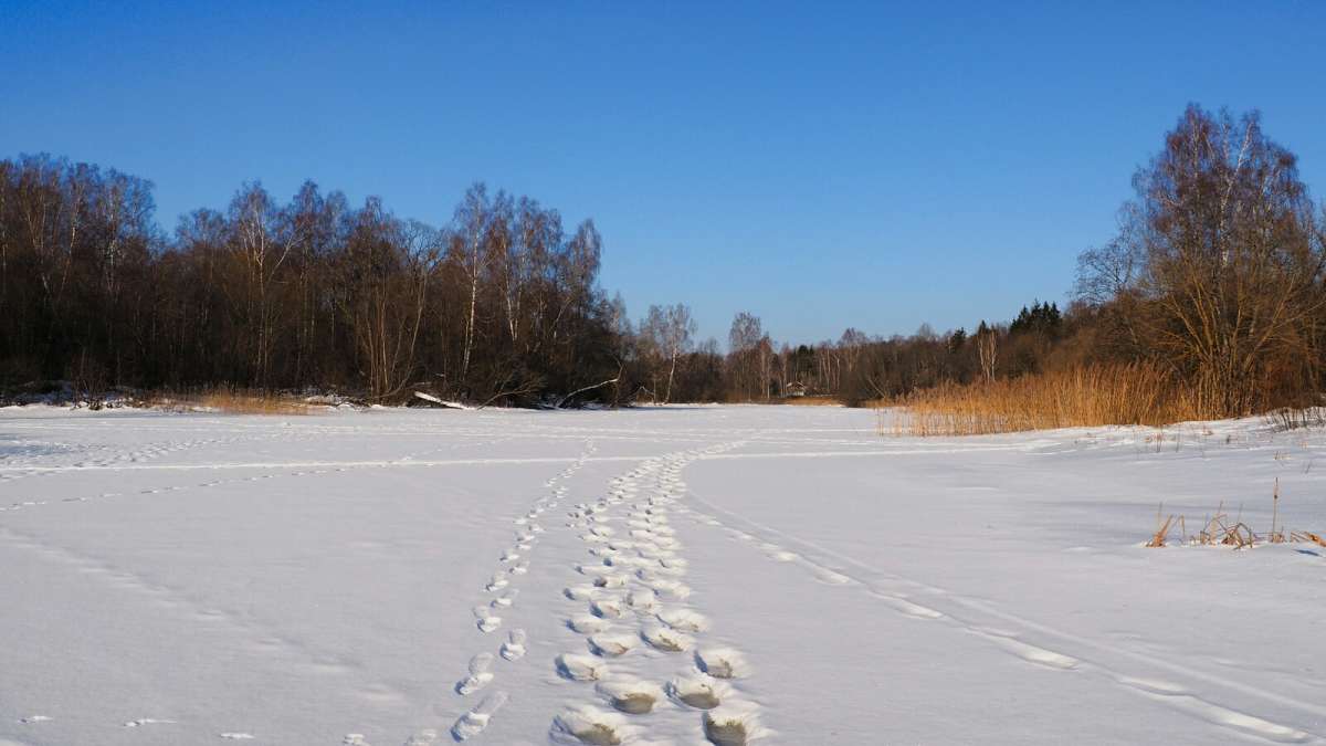 � �������� ����. ����� �������� �������� �� PhotoGeek.ru #������ ��� �������