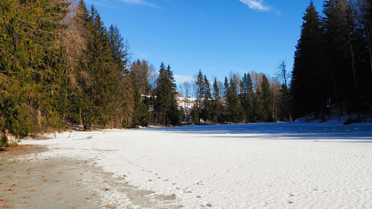 ��� ����. ����� �������� �������� �� PhotoGeek.ru #������ ��� �������