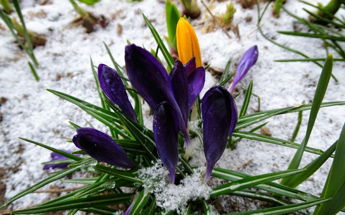 ������������� �������. ����� �������� �������� �� PhotoGeek.ru #����� #������ ��� �������
