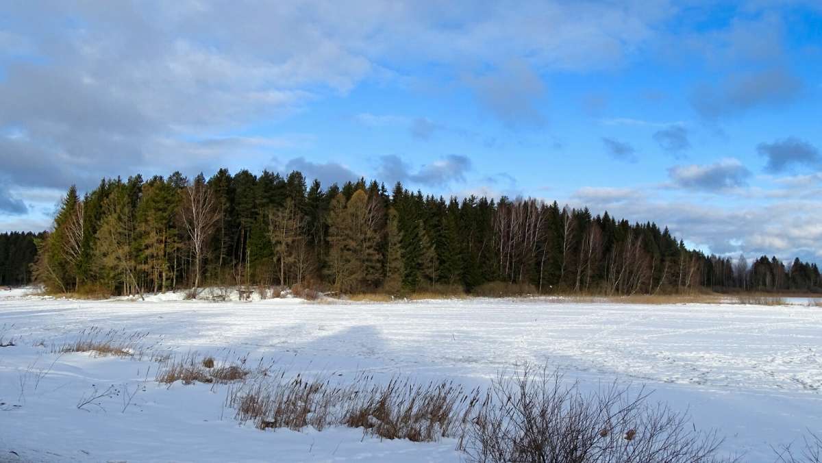 � �������� ����. ����� �������� �������� �� PhotoGeek.ru #������ ��� �������