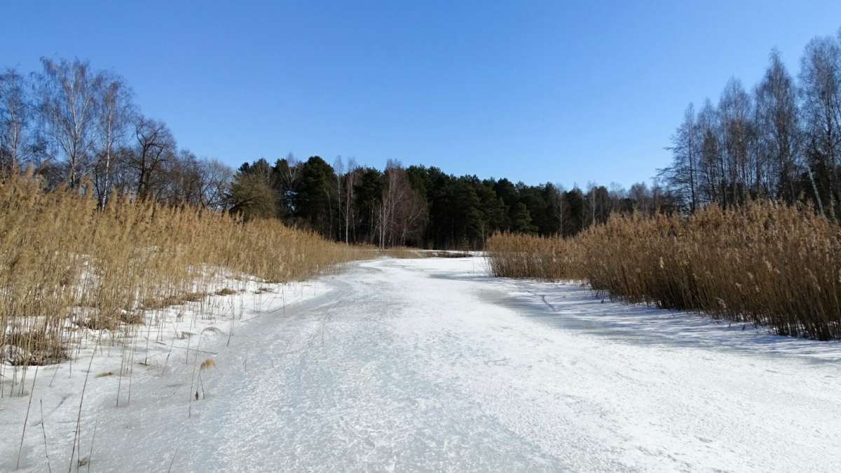 ���������� �����. ����� �������� �������� �� PhotoGeek.ru #������ ��� �������