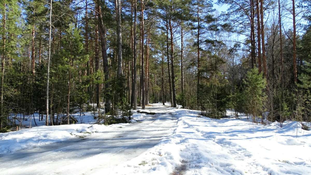 �������� ���. ����� �������� �������� �� PhotoGeek.ru #������ ��� �������