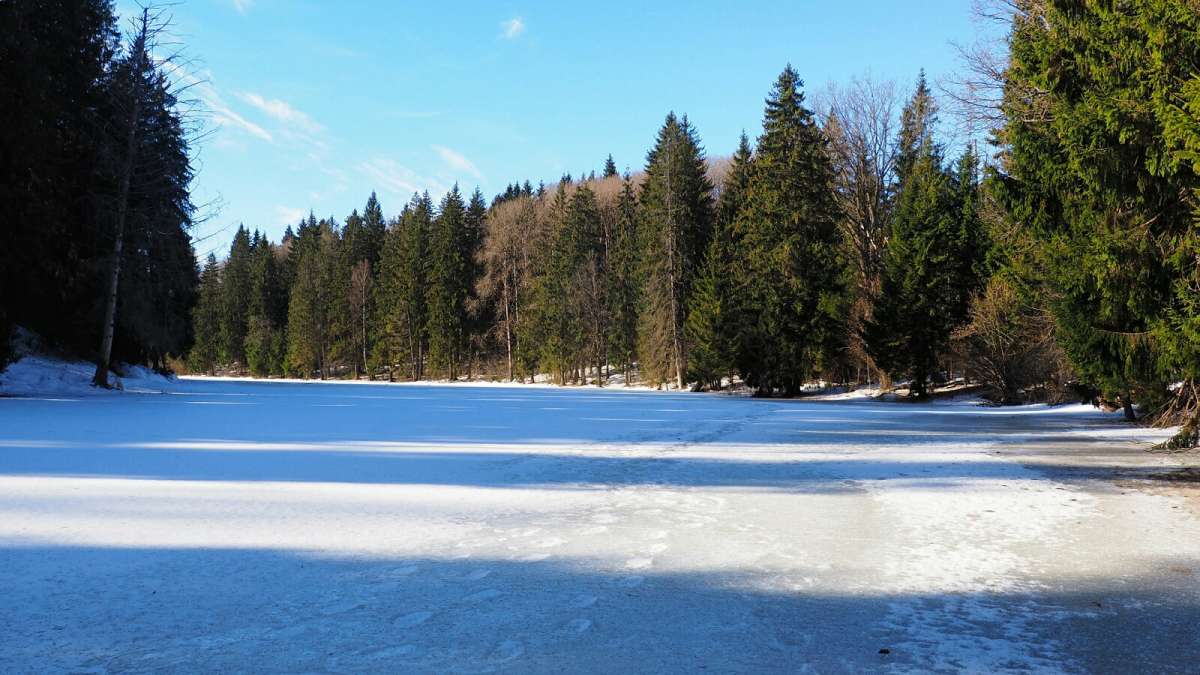 ��� ����. ����� �������� �������� �� PhotoGeek.ru #������ ��� �������