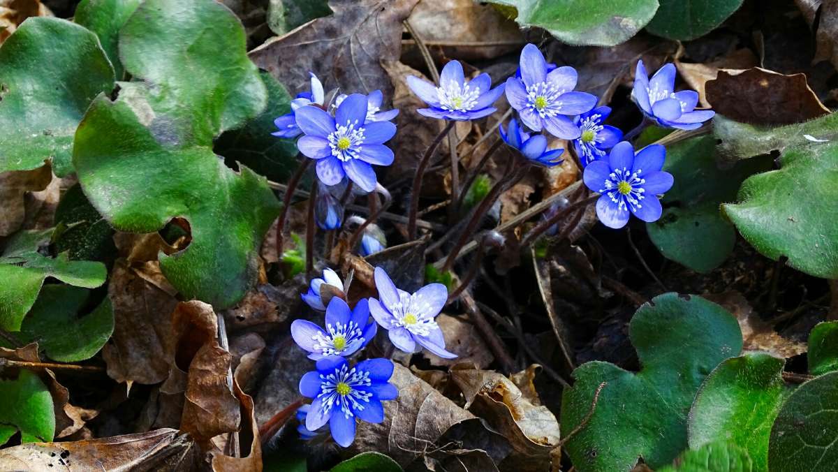 ��� �����! ����� �������� �������� �� PhotoGeek.ru #������ ��� �������