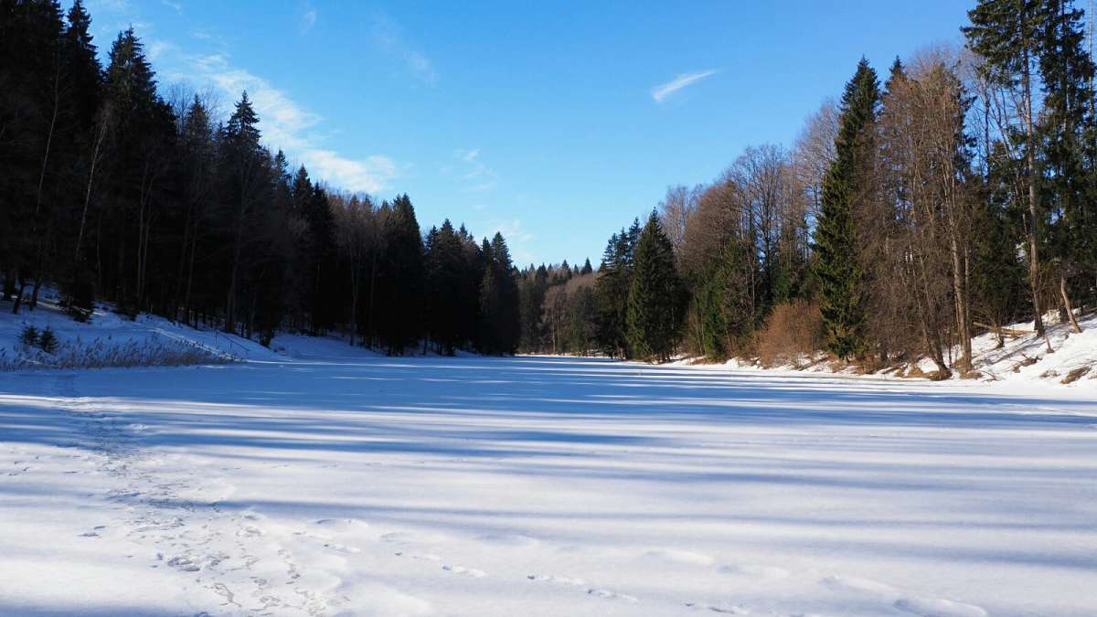 ��� ����. ����� �������� �������� �� PhotoGeek.ru #������ ��� �������