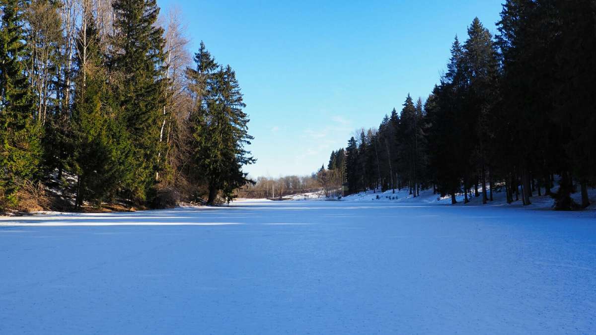 ��� ����. ����� �������� �������� �� PhotoGeek.ru #������ ��� �������