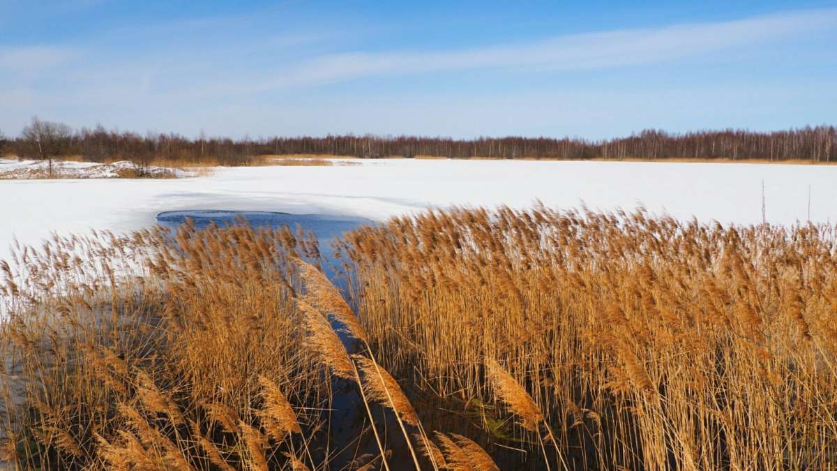 ����� - ������. ����� �������� �������� �� PhotoGeek.ru #������ ��� �������