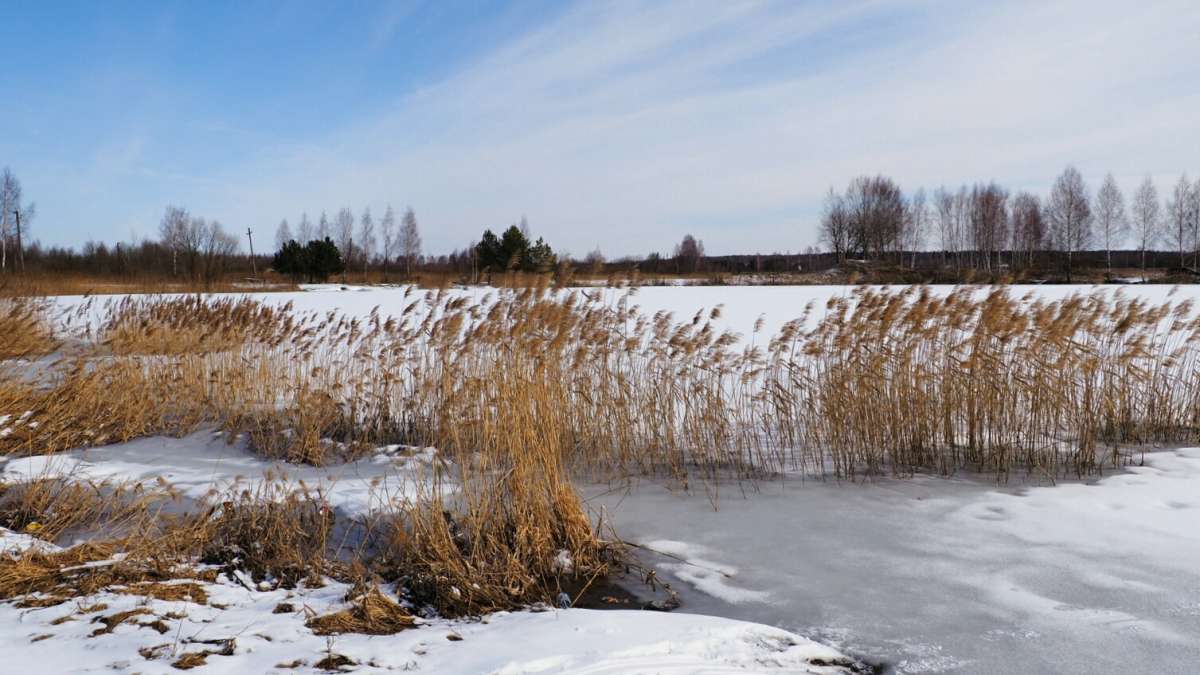 ����� �� ����������. ����� �������� �������� �� PhotoGeek.ru #������ ��� �������