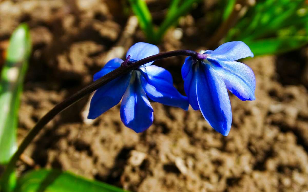 �������� � ������� �������. ����� �������� �������� �� PhotoGeek.ru #����� #����� #������ ��� �������