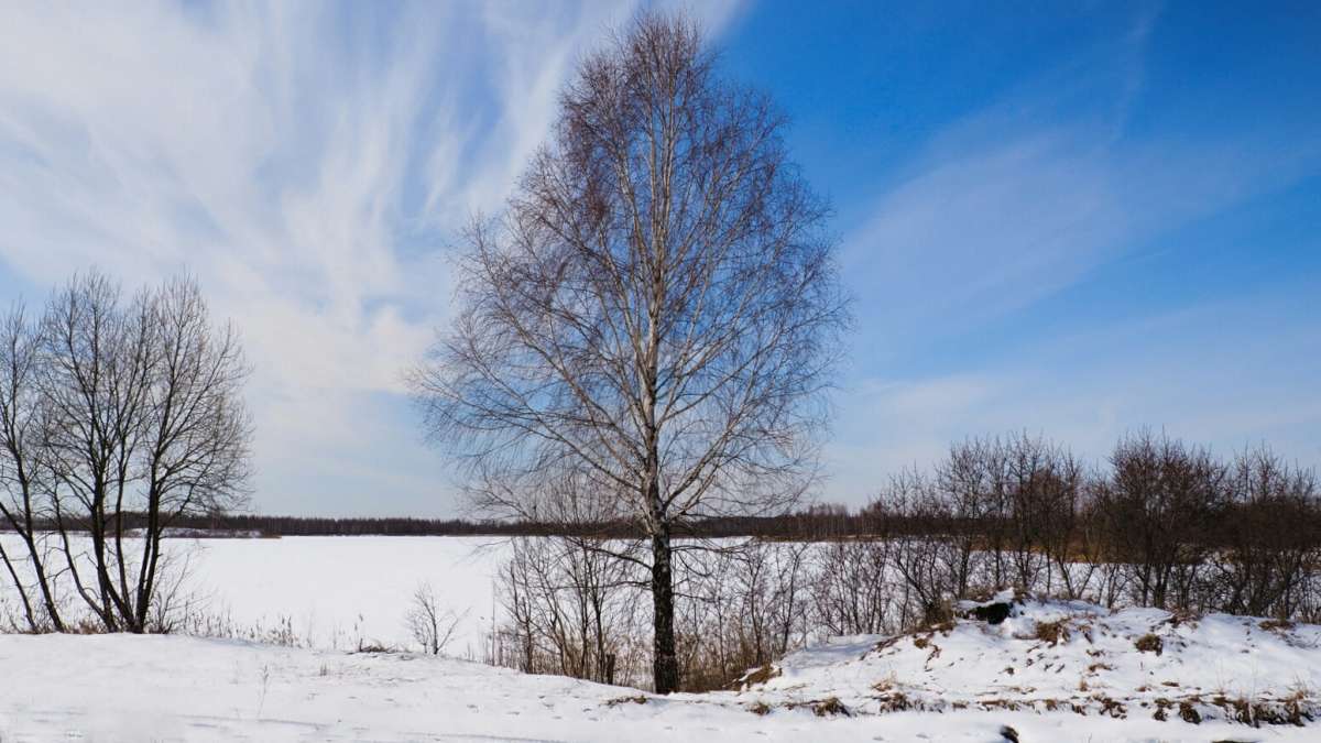 ������� �� ������� ������. ����� �������� �������� �� PhotoGeek.ru #������ ��� �������