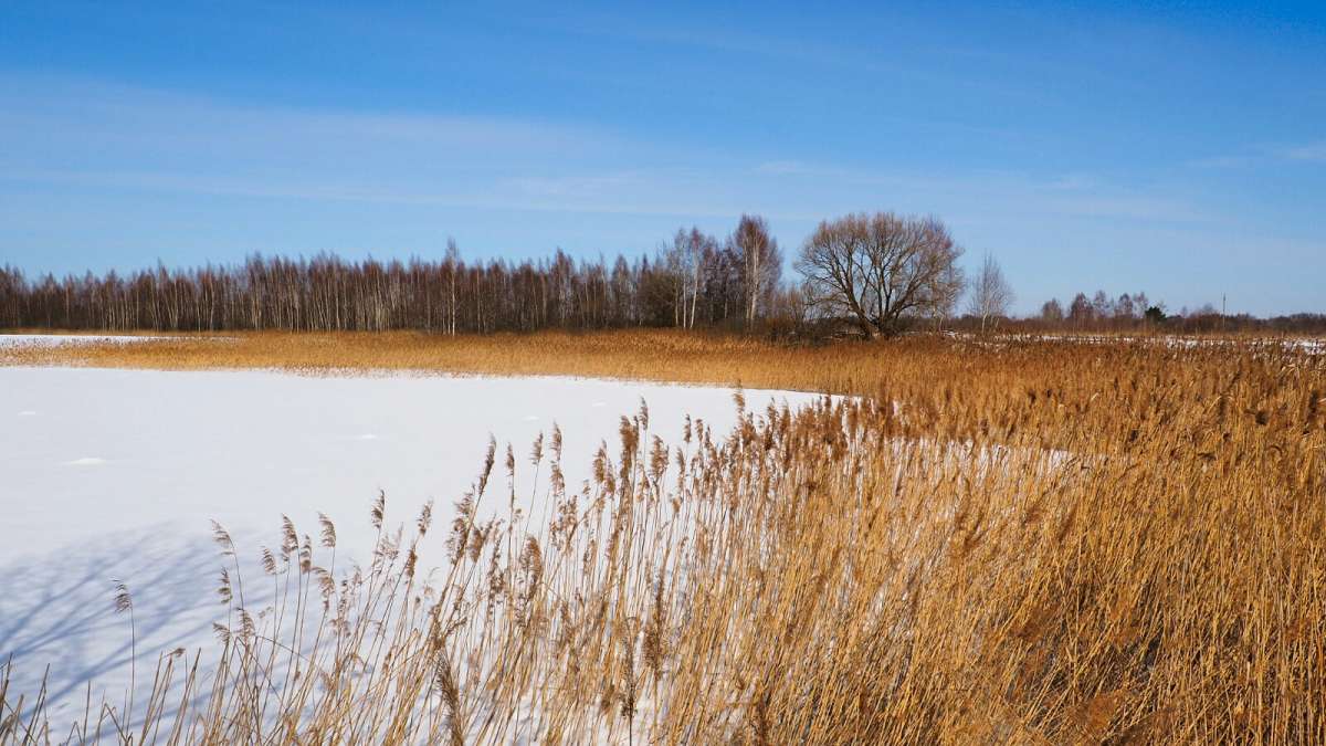 ���������� �����. ����� �������� �������� �� PhotoGeek.ru #������ ��� �������