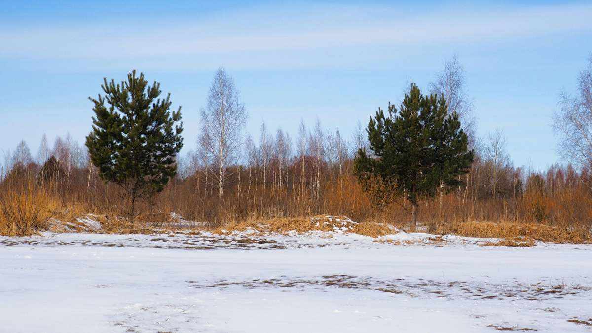 ������� ����� �� ������� ������. ����� �������� �������� �� PhotoGeek.ru #������ ��� �������