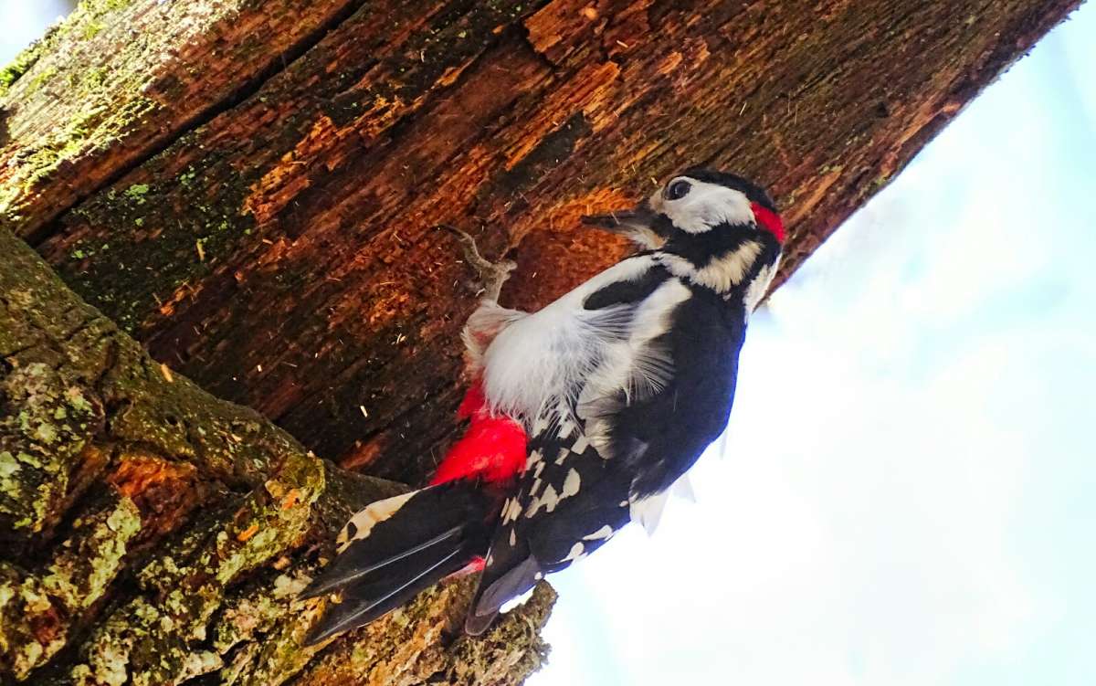 ���������� �����. ����� �������� �������� �� PhotoGeek.ru #�������� ���