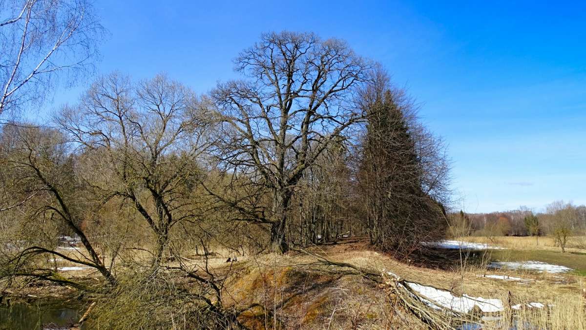 ������ - ����. ����� �������� �������� �� PhotoGeek.ru #������ ��� �������