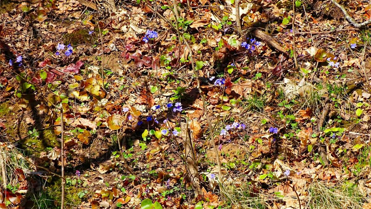 ��������� ������. ����� �������� �������� �� PhotoGeek.ru #������ ��� �������