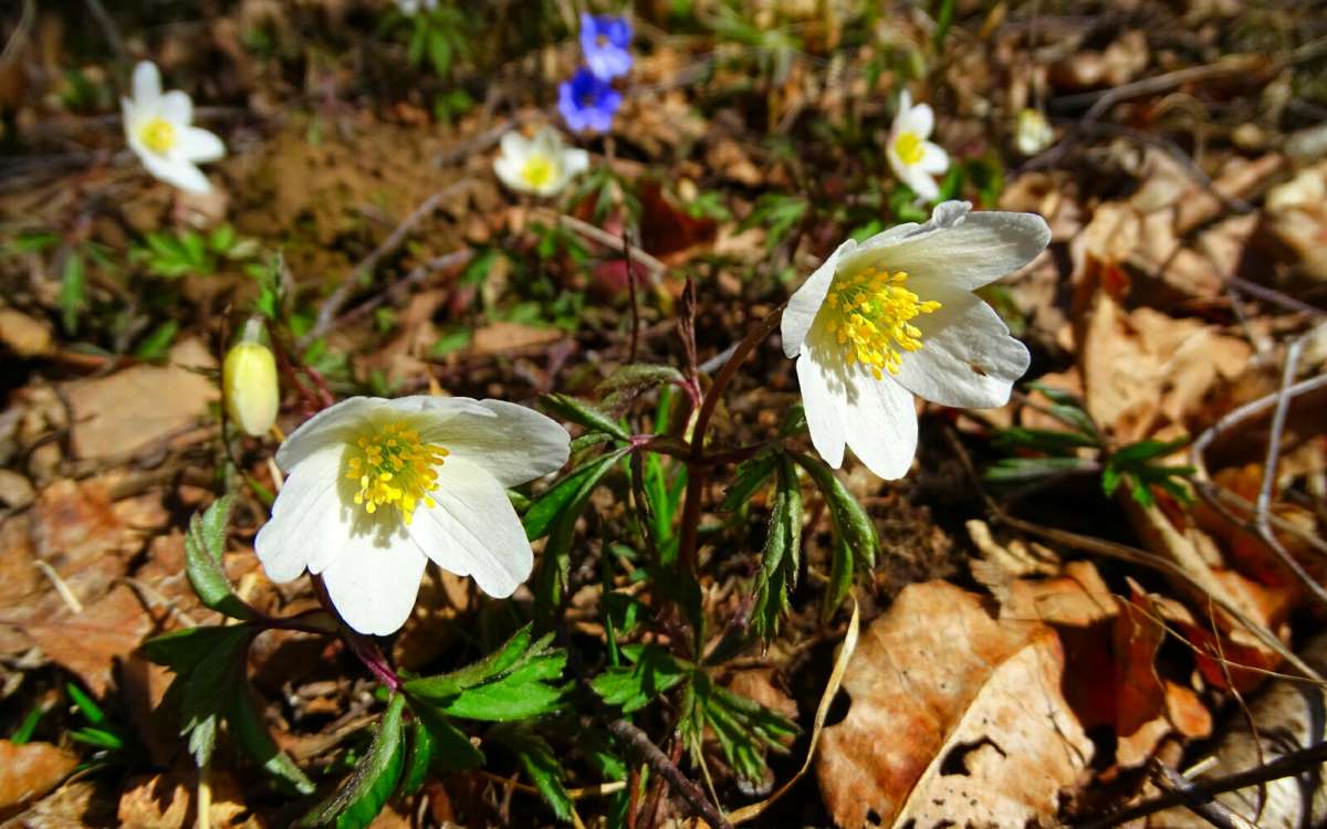 ����� � �����. ����� �������� �������� �� PhotoGeek.ru #������ ��� �������