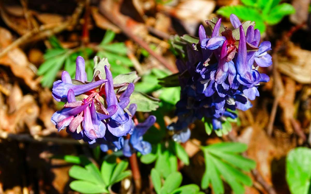 ��������. ����� �������� �������� �� PhotoGeek.ru #������ ��� �������