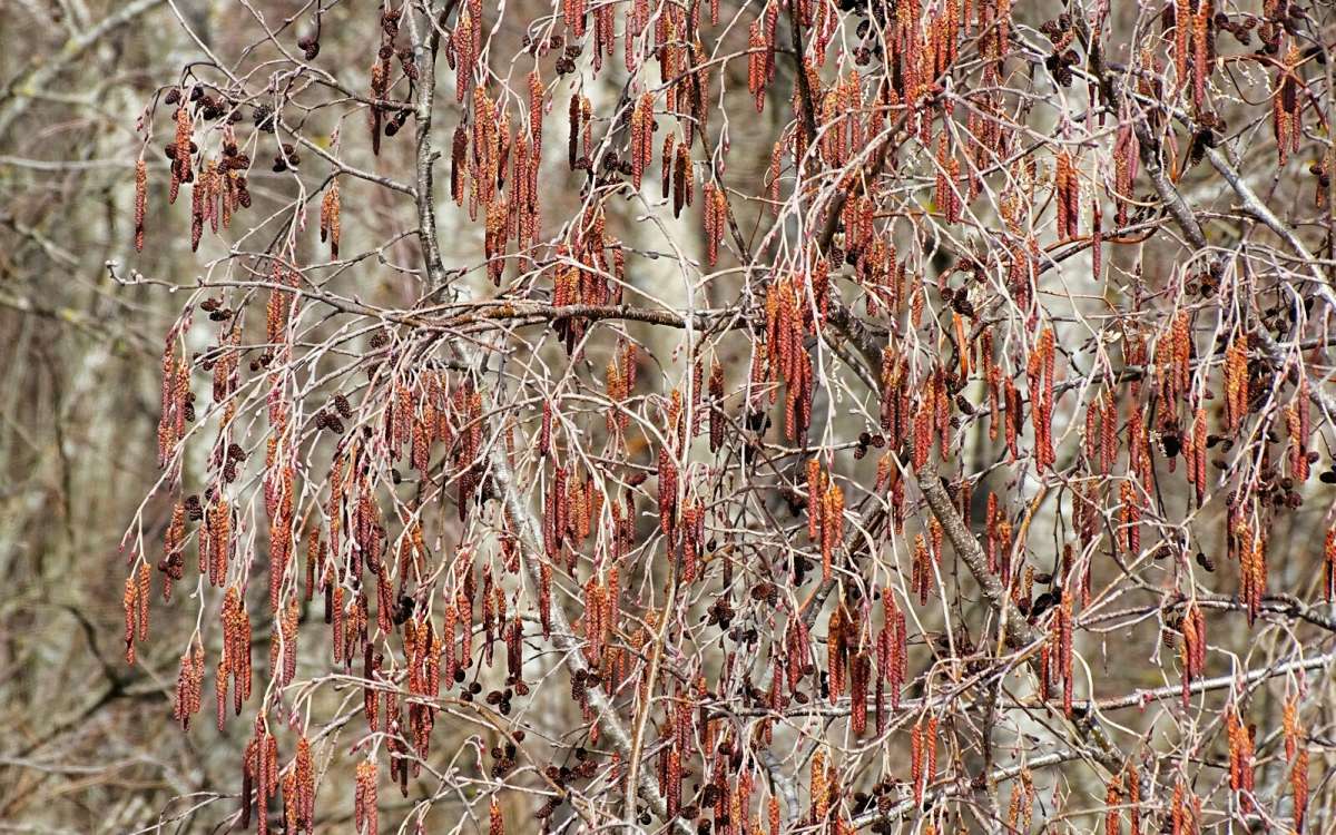 �������� �������. ����� �������� �������� �� PhotoGeek.ru #������ ��� �������