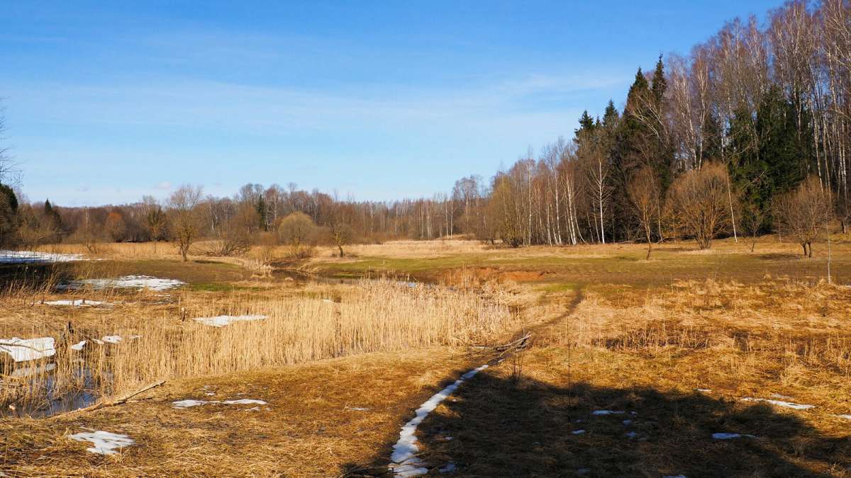 ��� ����������. ����� �������� �������� �� PhotoGeek.ru #������ ��� �������