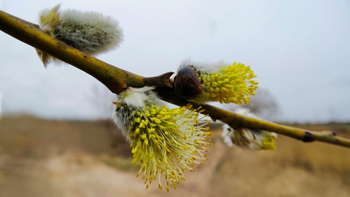 �������� ������. ����� �������� �������� �� PhotoGeek.ru #����� #������ ��� �������