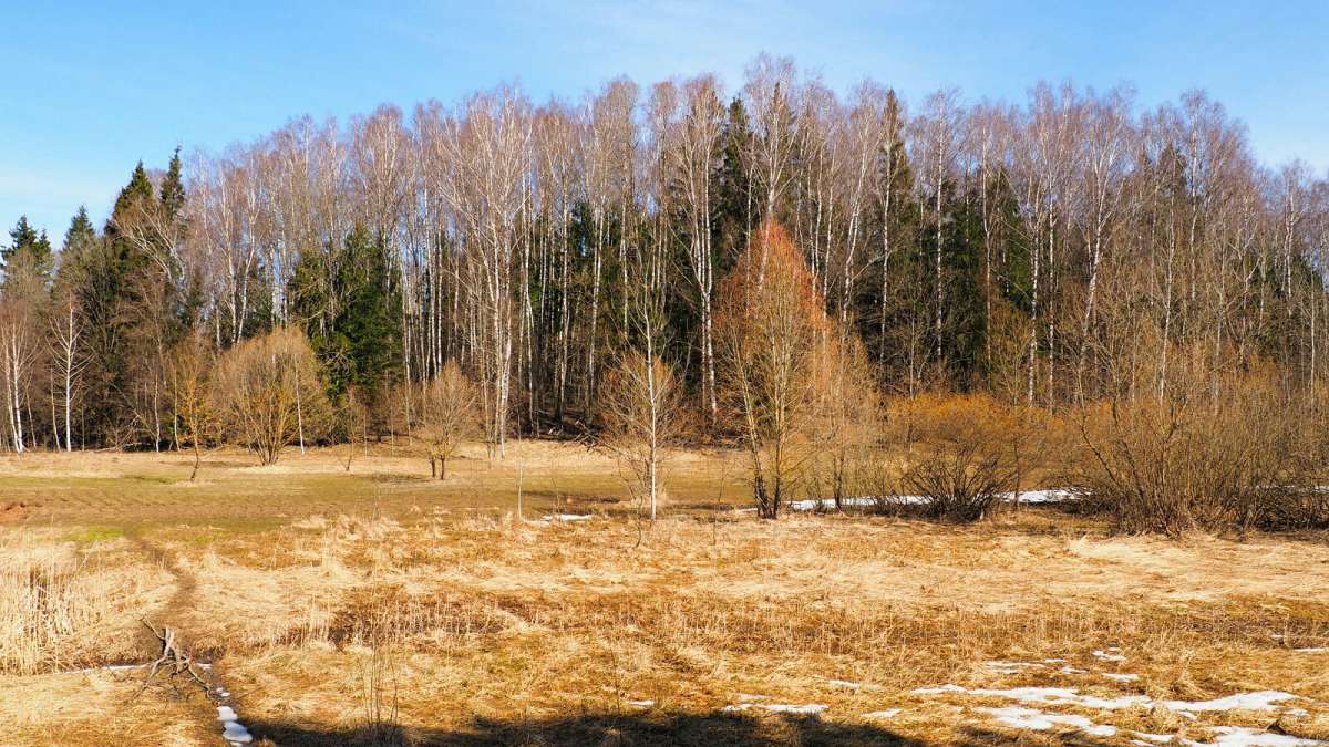 ����� - ������. ����� �������� �������� �� PhotoGeek.ru #������ ��� �������