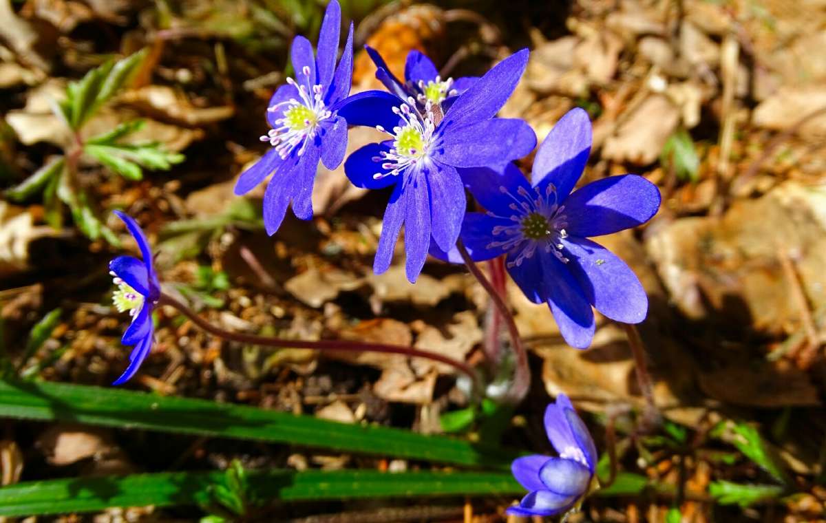 �����������. ����� �������� �������� �� PhotoGeek.ru #������ ��� �������