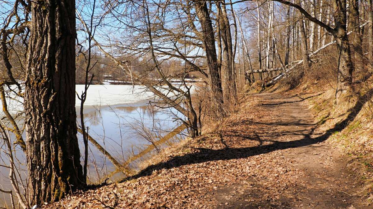 ���������� �����. ����� �������� �������� �� PhotoGeek.ru #������ ��� �������