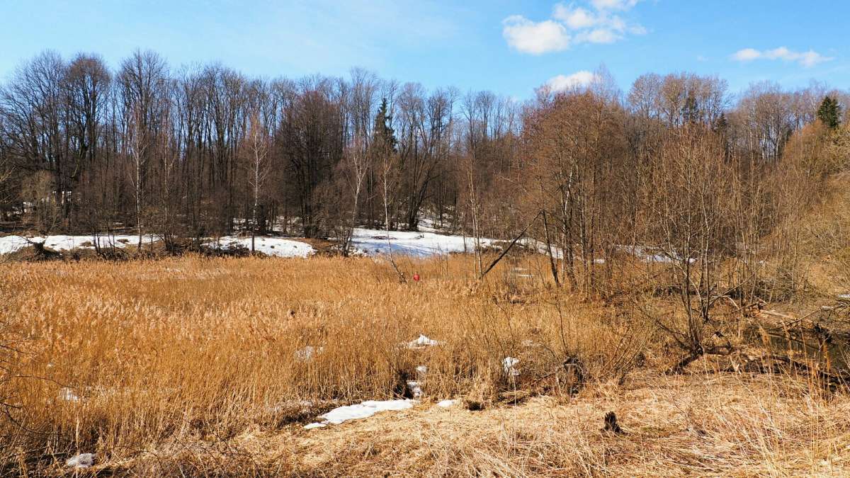 ����� �� ����������. ����� �������� �������� �� PhotoGeek.ru #������ ��� �������