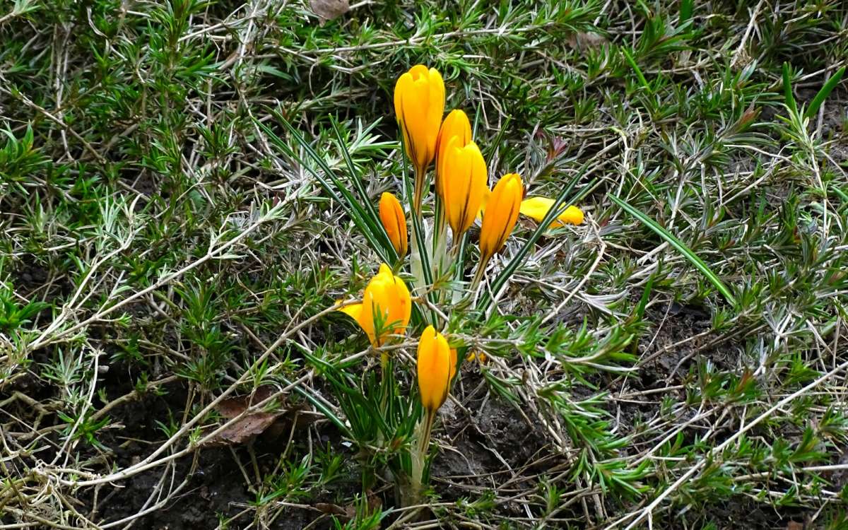 ������ �������. ����� �������� �������� �� PhotoGeek.ru #������ ��� �������