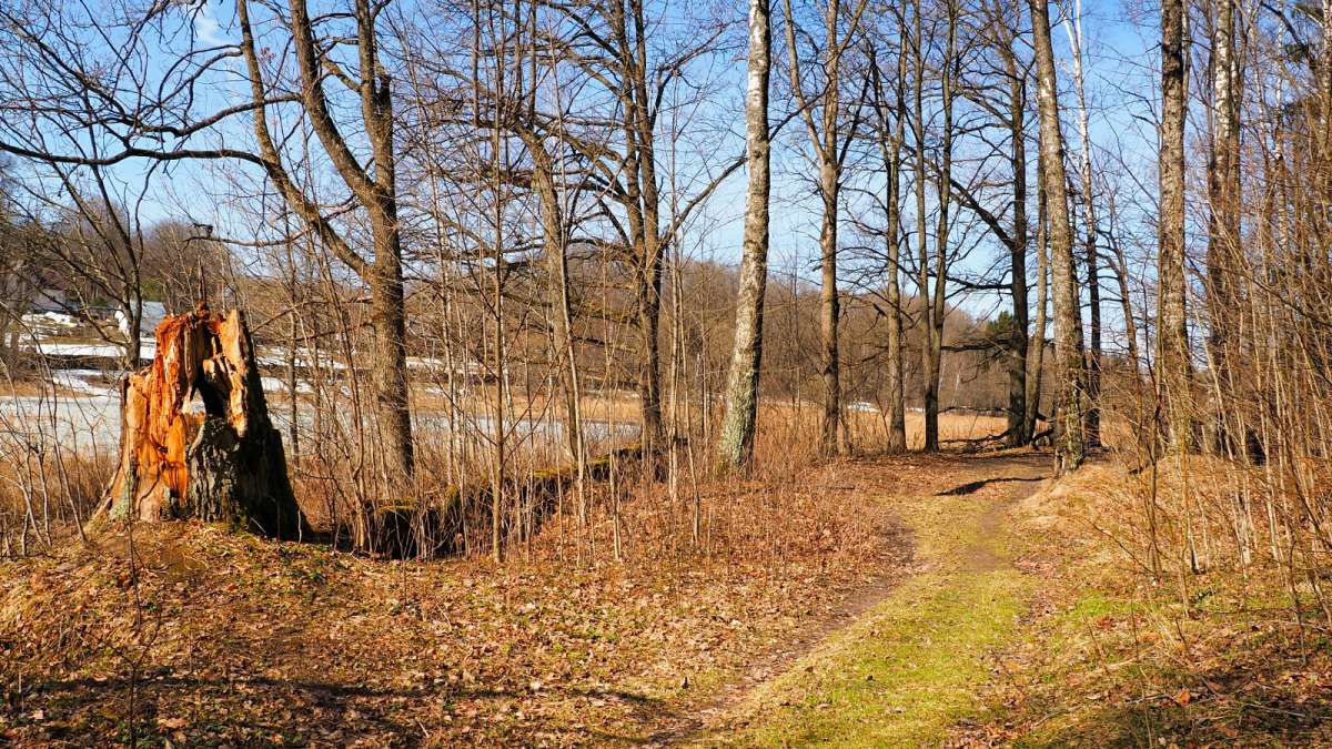 Ҹ���� ���������� ����. ����� �������� �������� �� PhotoGeek.ru #������ ��� �������