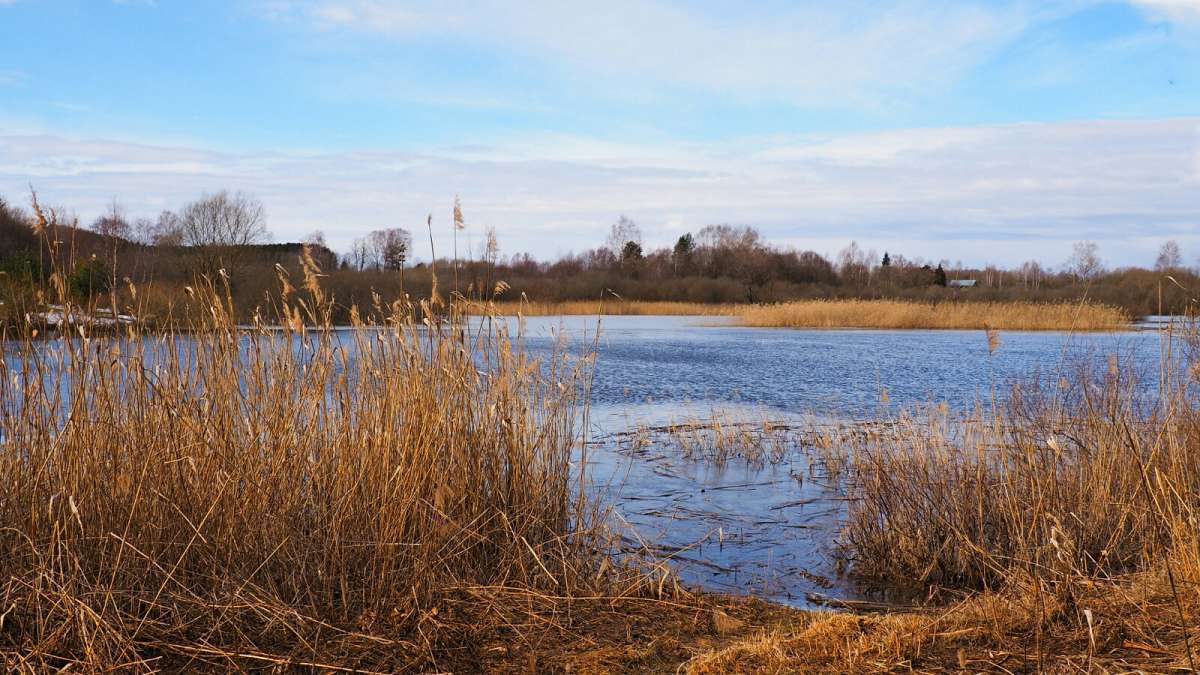 �������� ������� ����������. ����� �������� �������� �� PhotoGeek.ru #������ ��� �������