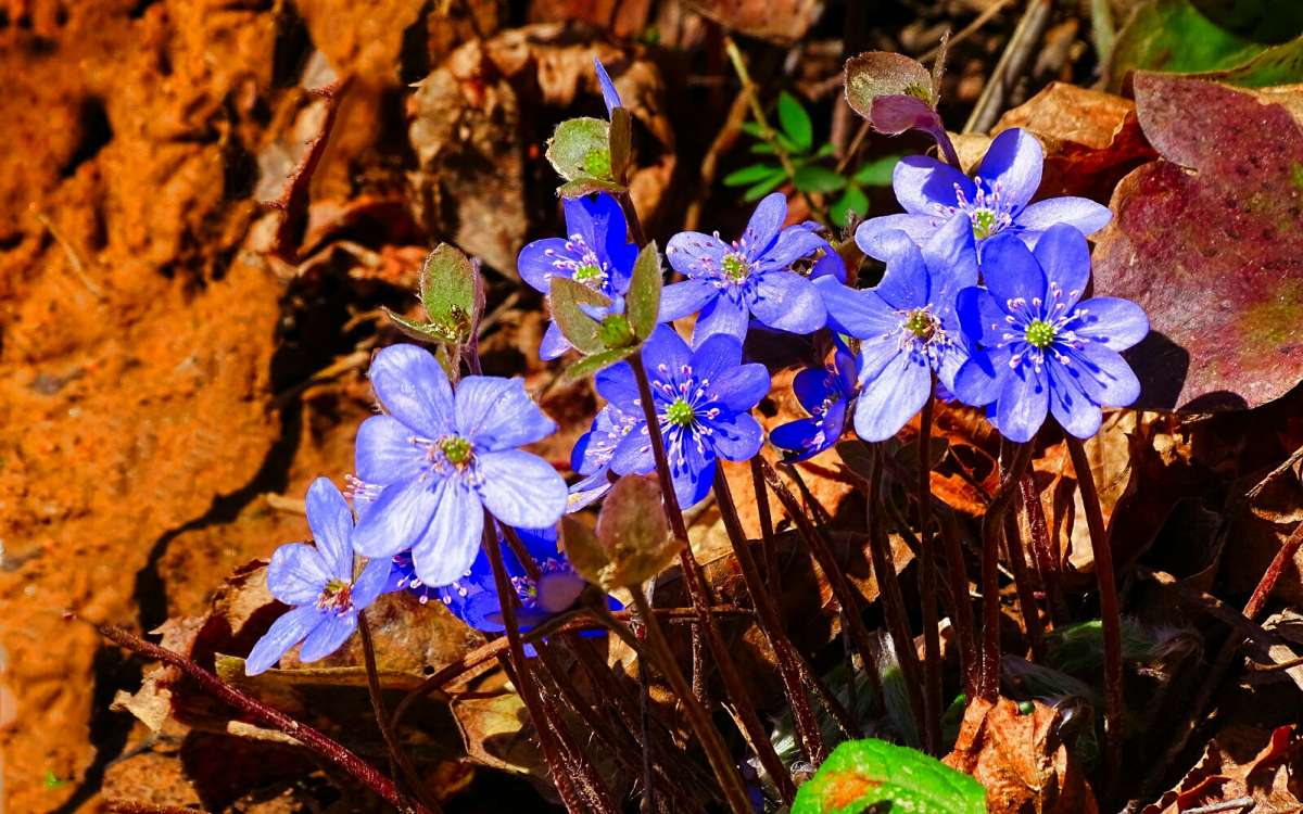 ������� ��������� "�������". ����� �������� �������� �� PhotoGeek.ru #������ ��� �������