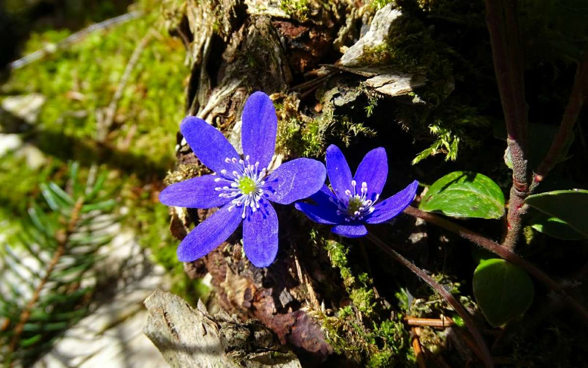 �����������. ����� �������� �������� �� PhotoGeek.ru #������ ��� �������