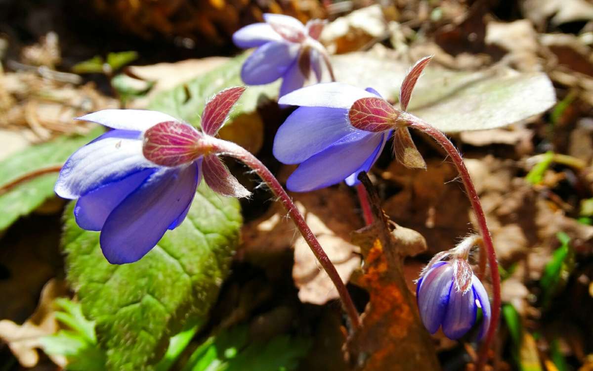 "�����������" �� ���������. ����� �������� �������� �� PhotoGeek.ru #������ ��� �������