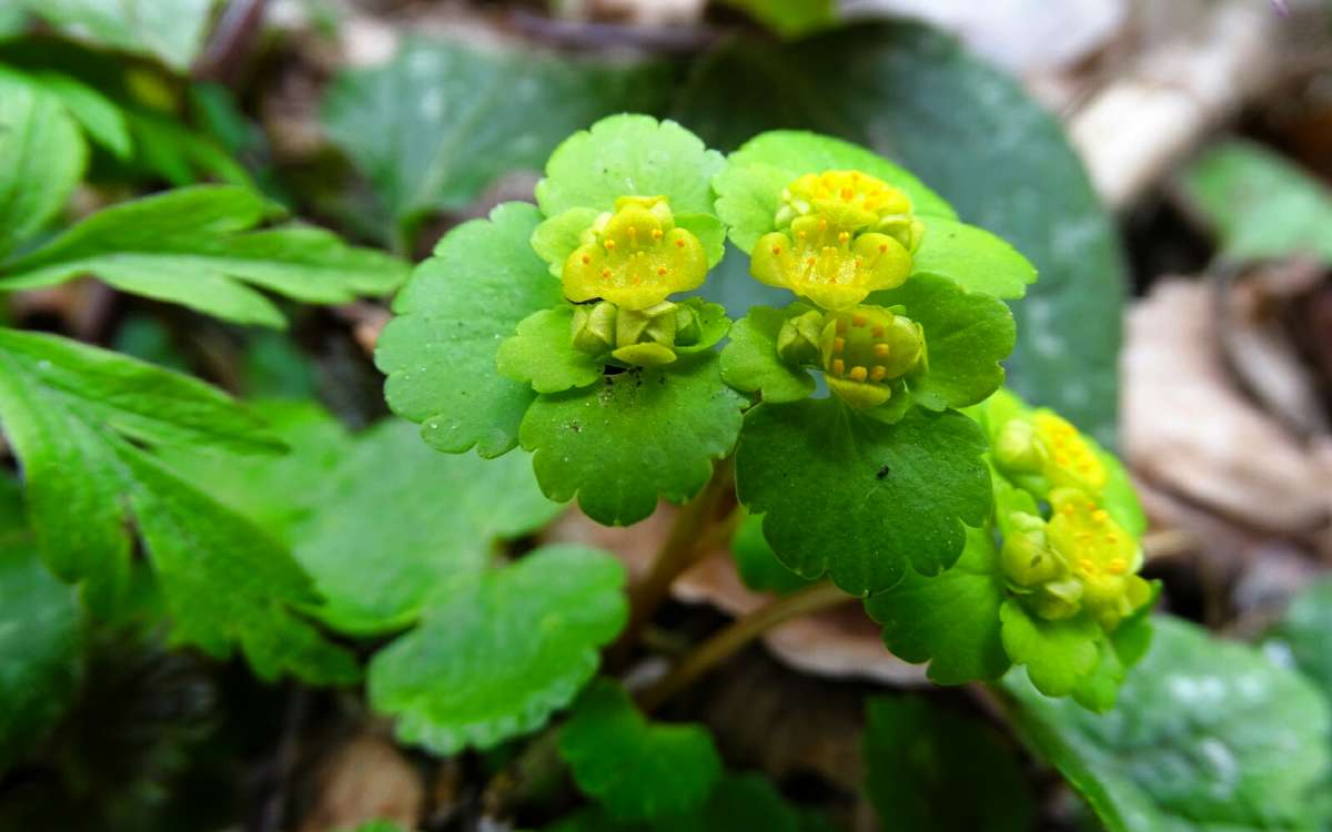 �����������. ����� �������� �������� �� PhotoGeek.ru #������ ��� �������