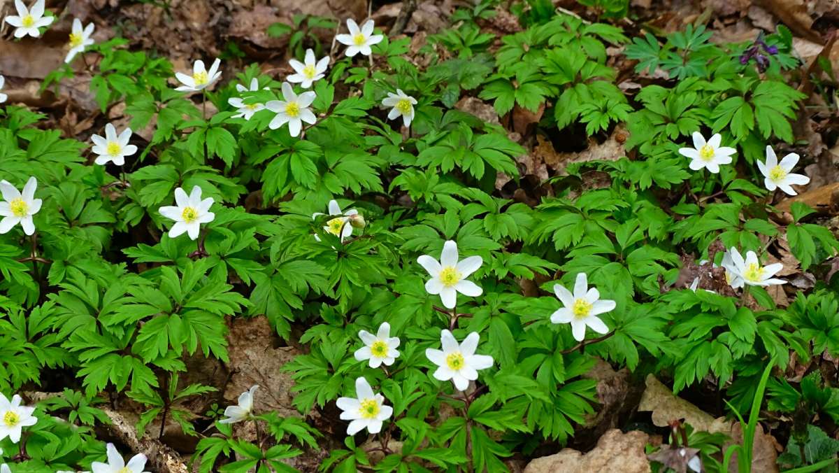 ��������� "����" ������. ����� �������� �������� �� PhotoGeek.ru #������ ��� �������