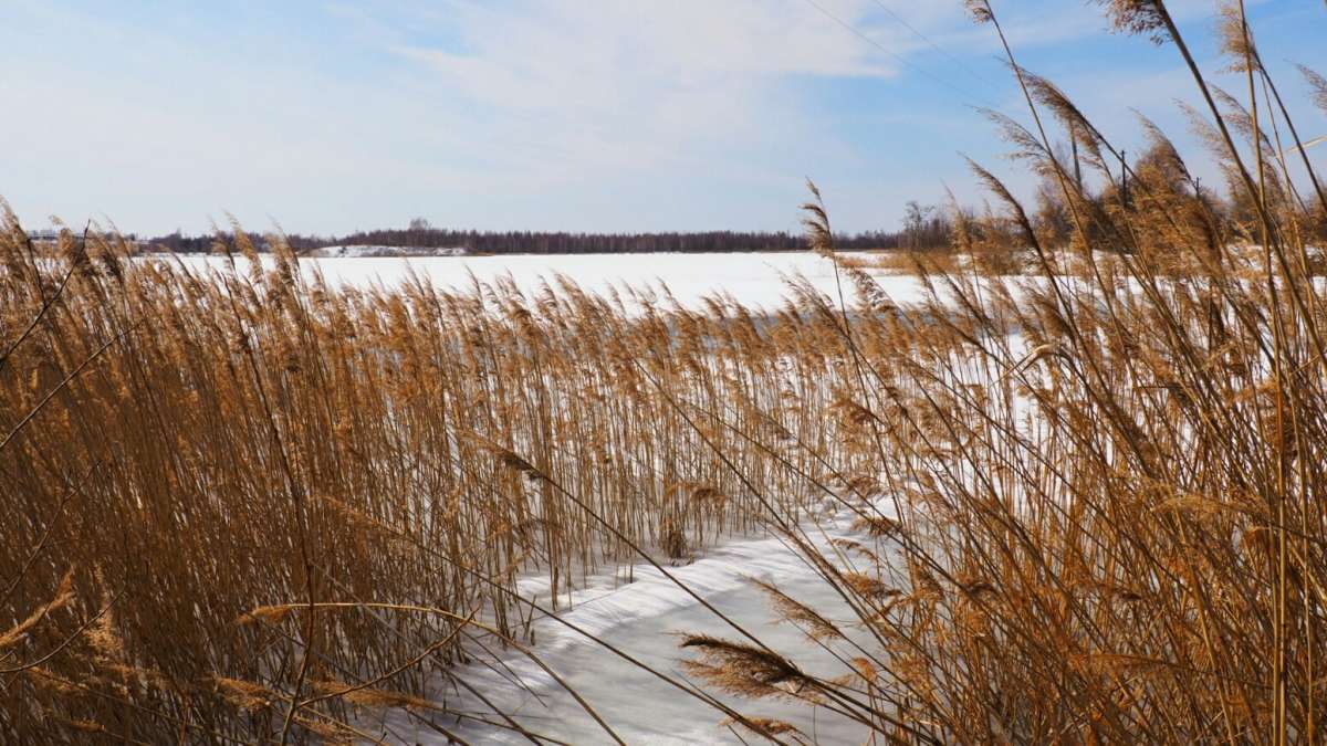 ������ ������. ����� �������� �������� �� PhotoGeek.ru #������ ��� �������