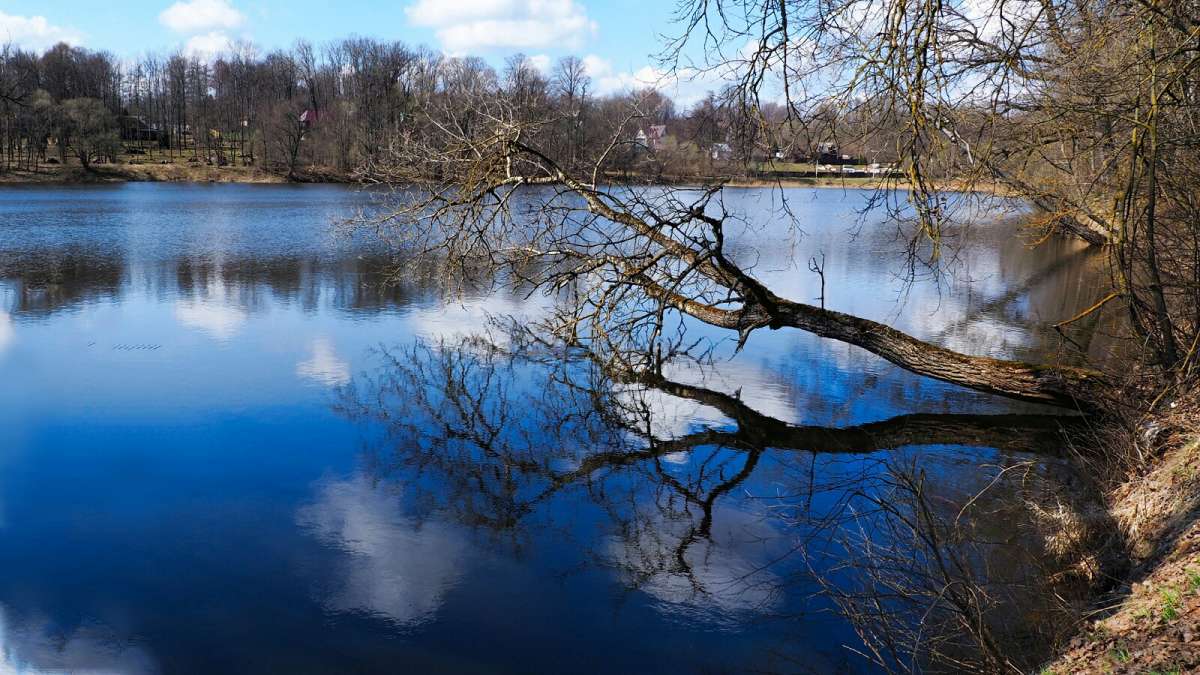 ���������� �����. ����� �������� �������� �� PhotoGeek.ru #������ ��� �������