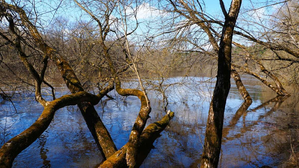 ��������� �� ������. ����� �������� �������� �� PhotoGeek.ru #������ ��� �������