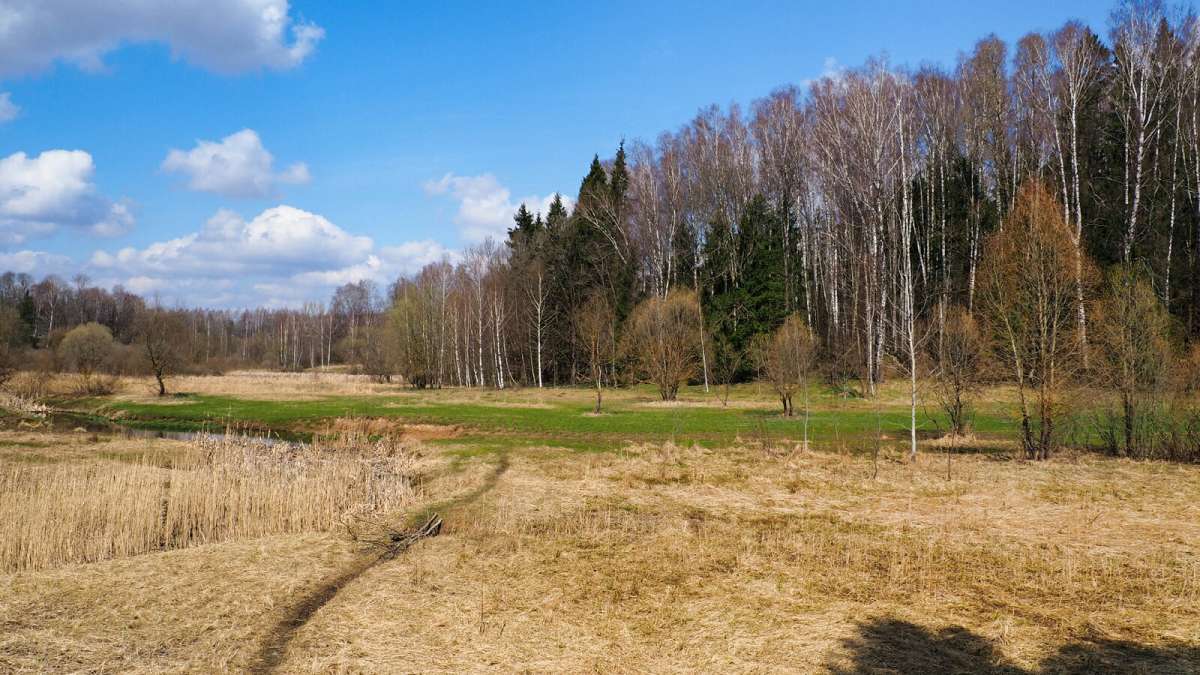 ������ �� ����������. ����� �������� �������� �� PhotoGeek.ru #������ ��� �������