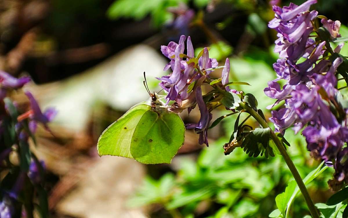 ���������  �� ��������. ����� �������� �������� �� PhotoGeek.ru #������ ��� �������