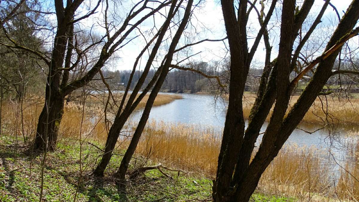 ���������� �����. ����� �������� �������� �� PhotoGeek.ru #������ ��� �������