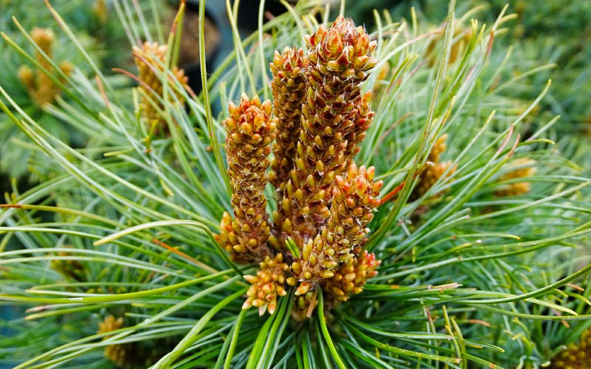 �������� ������� �������. ����� �������� �������� �� PhotoGeek.ru #������ ��� �������