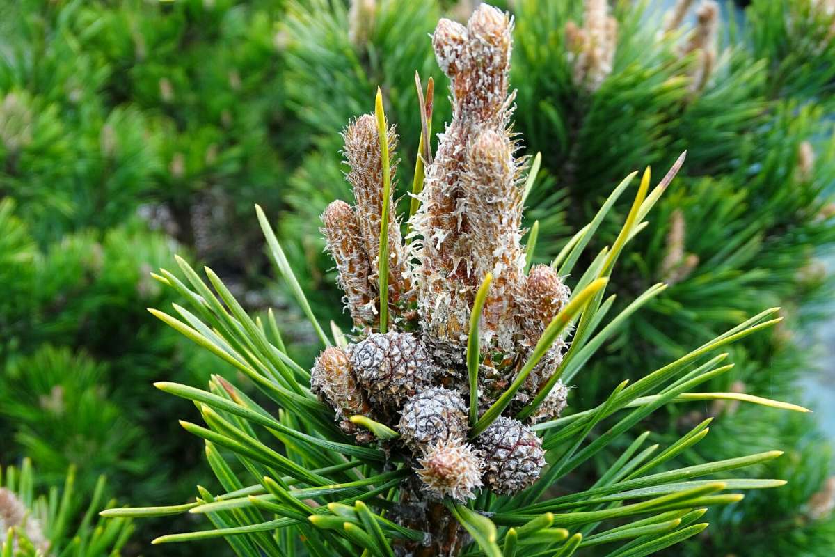 �������� ������� �������! ����� �������� �������� �� PhotoGeek.ru #������ ��� �������